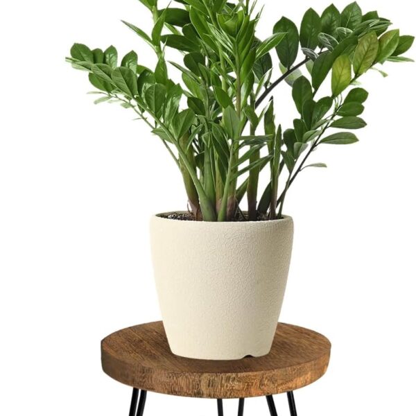 Modern Round Wooden Plant Stand