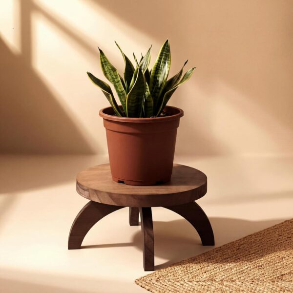 Low-Profile Rustic Farmhouse-Style Round Plant Riser