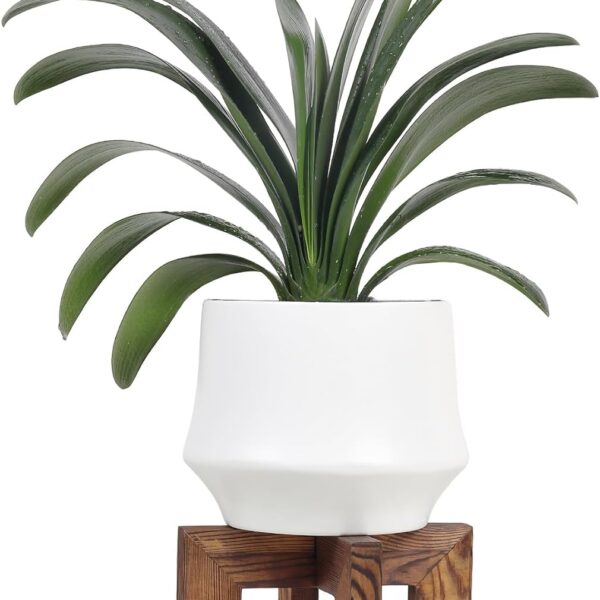 Sturdy Single-Tier Wooden Plant Stand Base